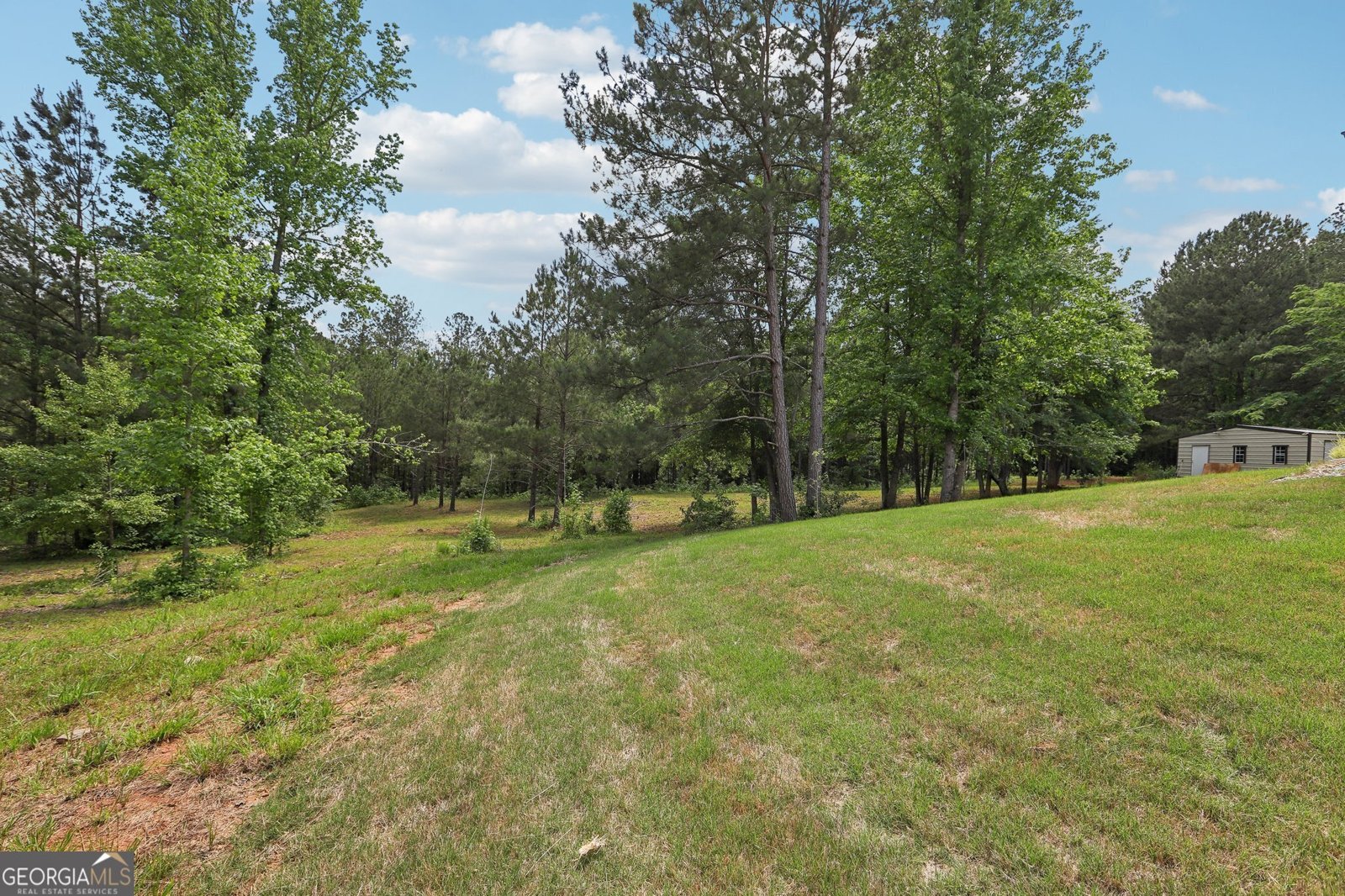 411 Johnson Road Locust Grove - 39