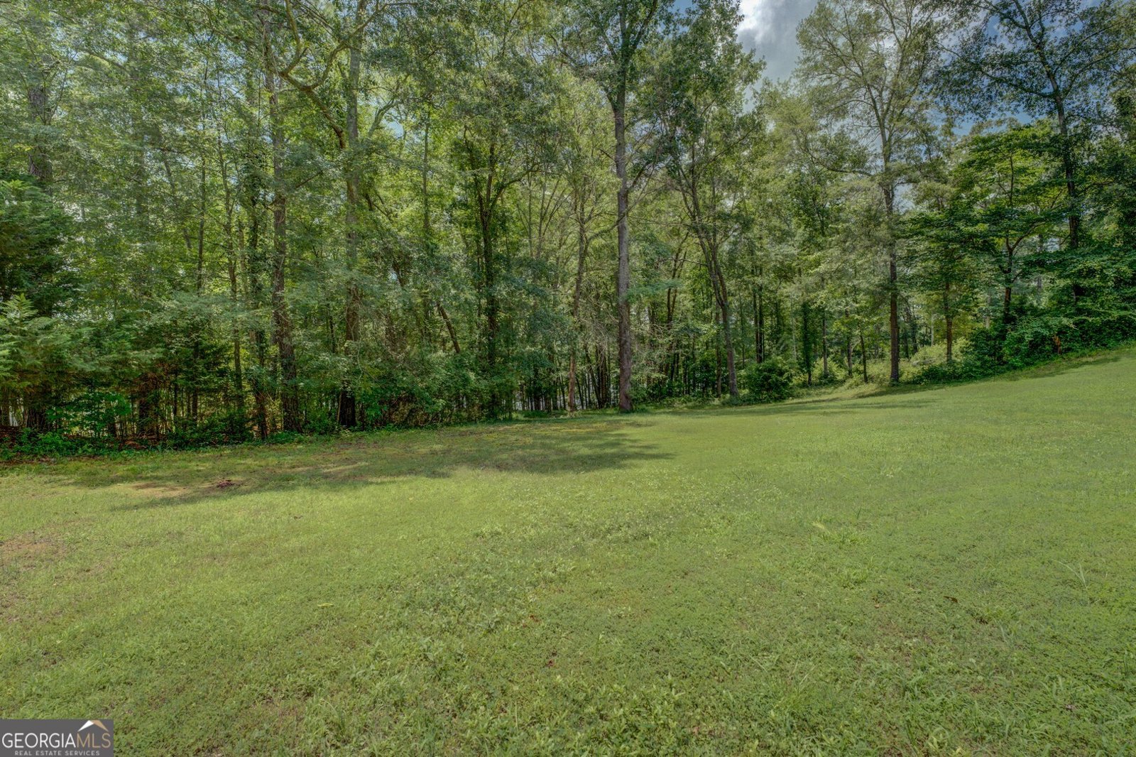 1041 Flat Rock Road Covington - 17