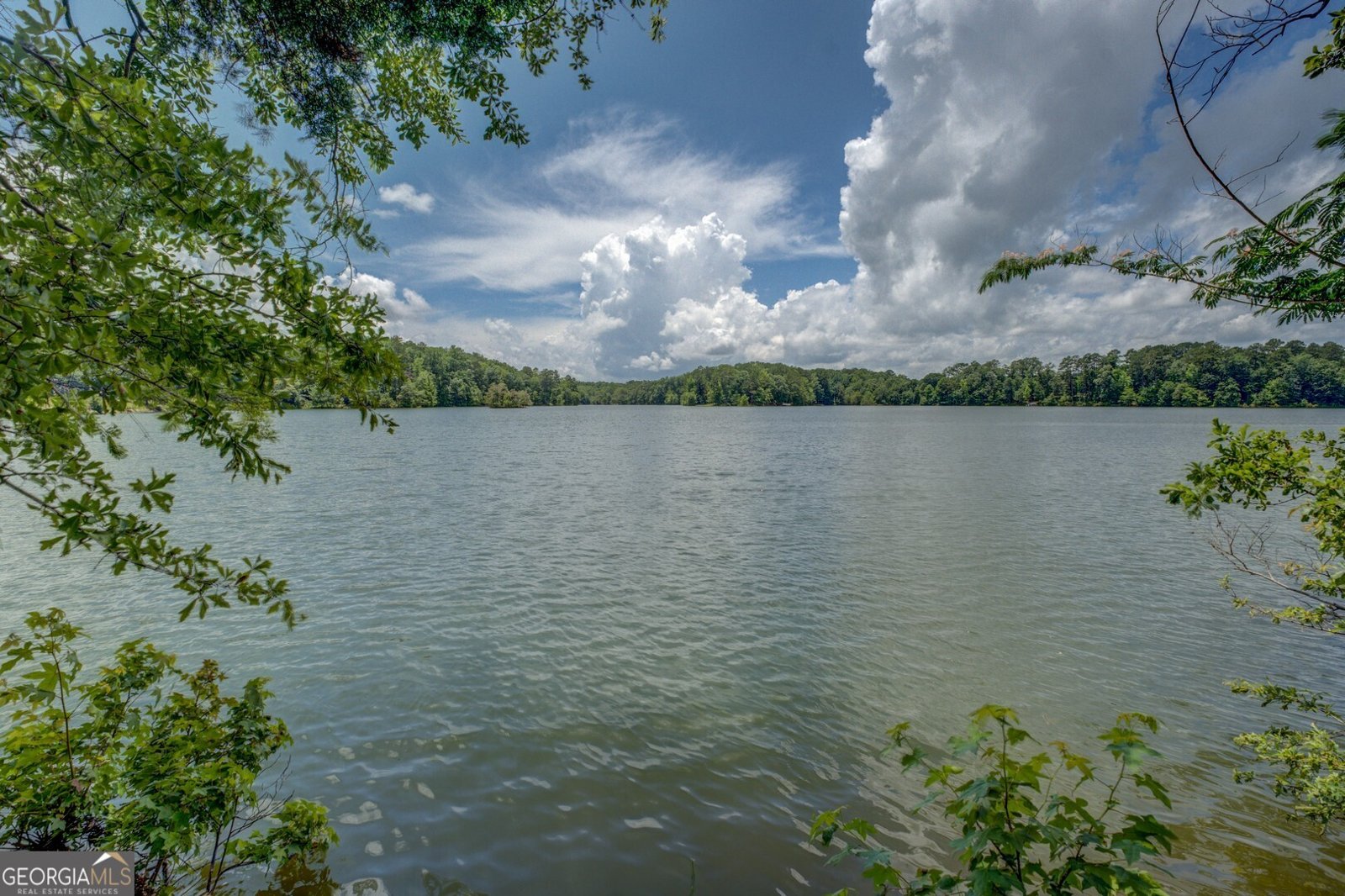 1041 Flat Rock Road Covington - 22