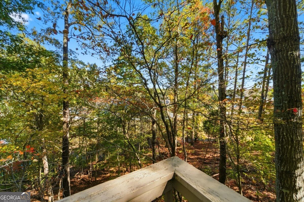 142 Indian Ridge Place Waleska - 29