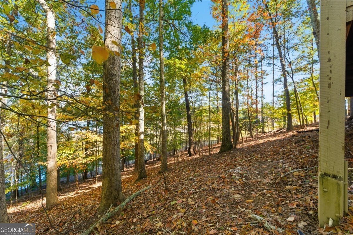 142 Indian Ridge Place Waleska - 33