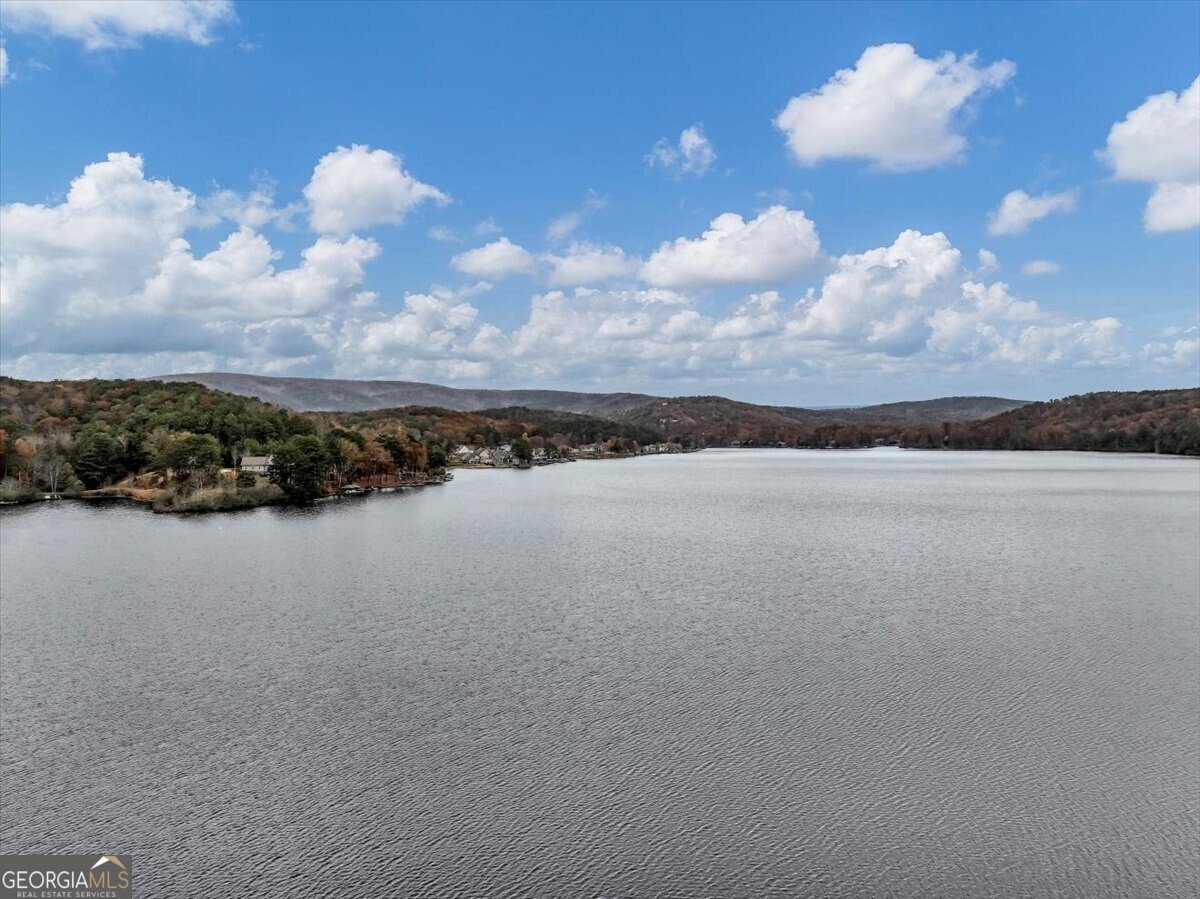 142 Indian Ridge Place Waleska - 41