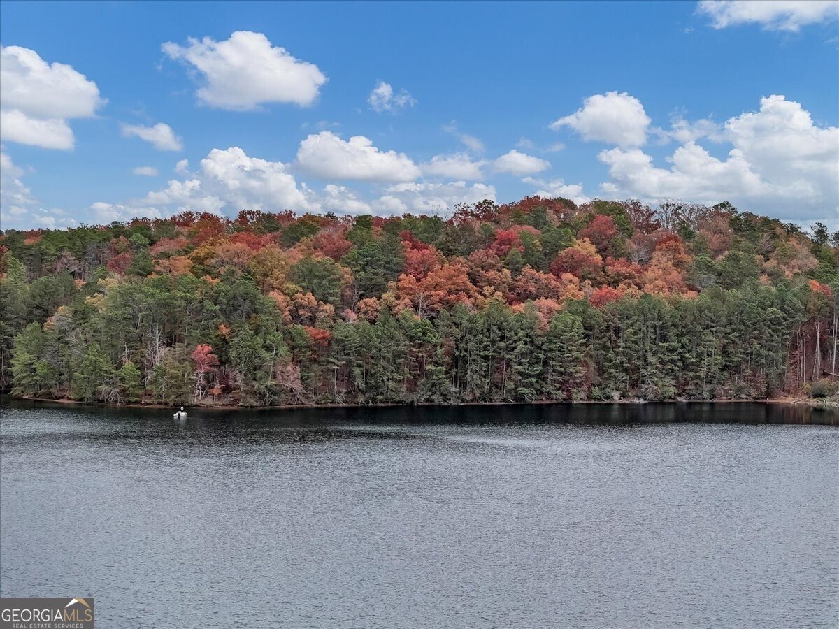 142 Indian Ridge Place Waleska - 42