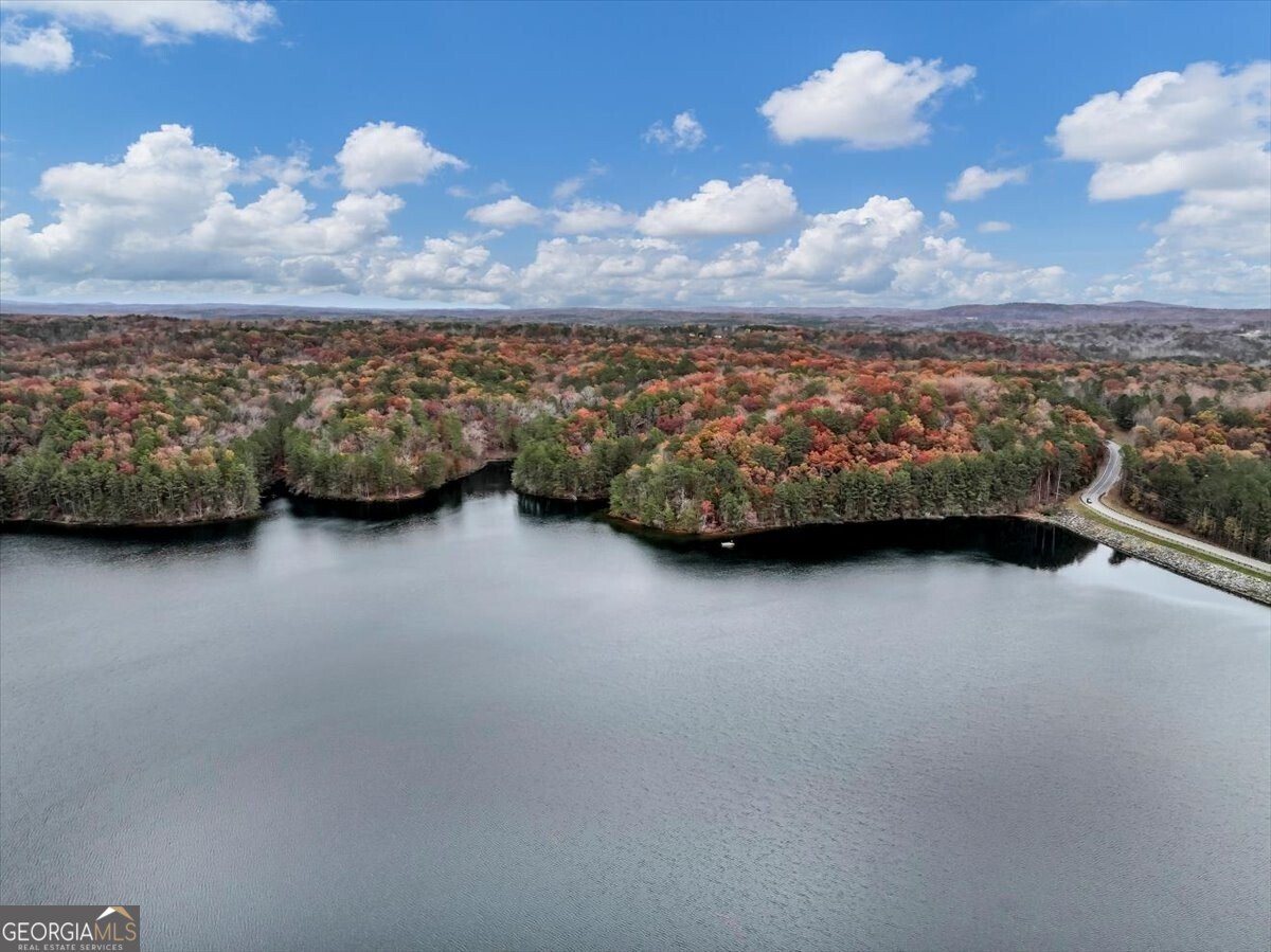 142 Indian Ridge Place Waleska - 45