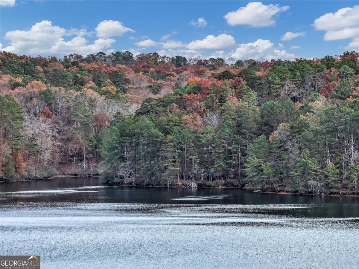 142 Indian Ridge Place Waleska - 58