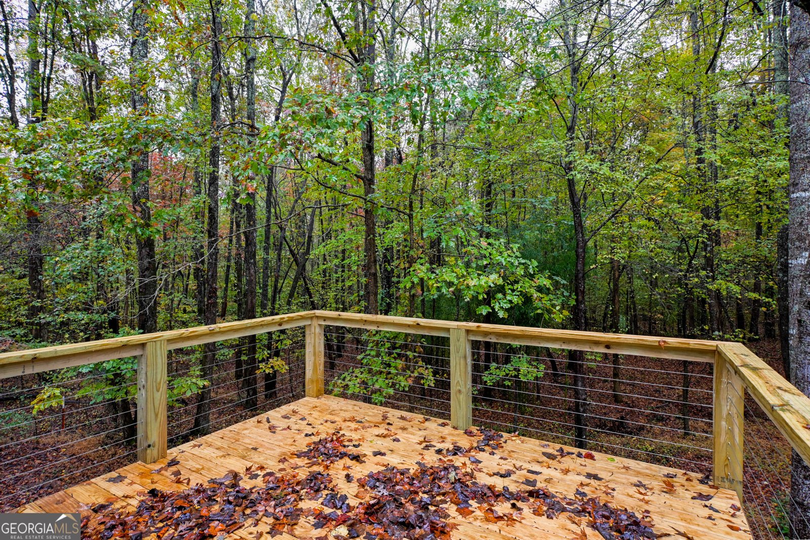 328 Jennifer Court Dahlonega - 11