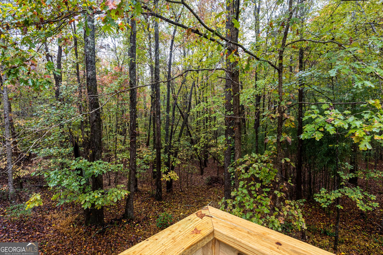 328 Jennifer Court Dahlonega - 12