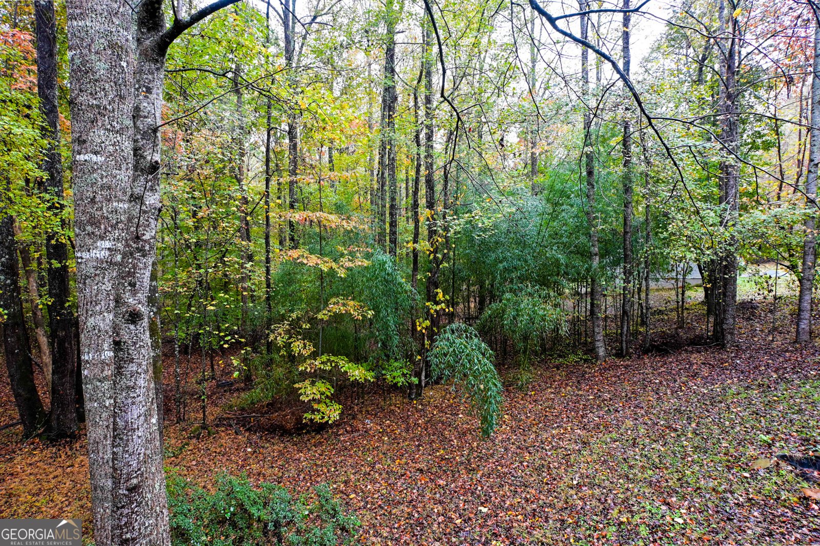 328 Jennifer Court Dahlonega - 13