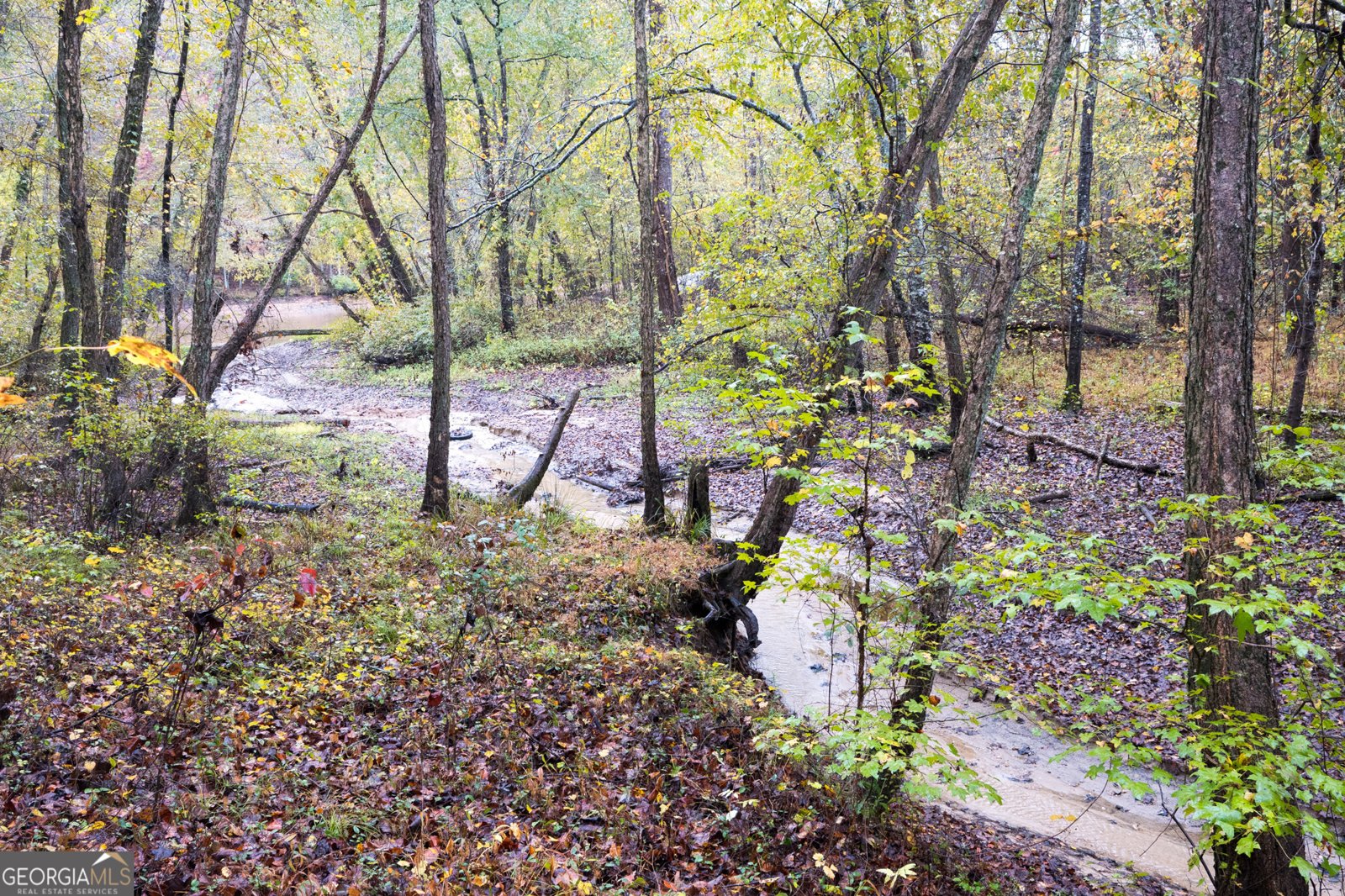 328 Jennifer Court Dahlonega - 16