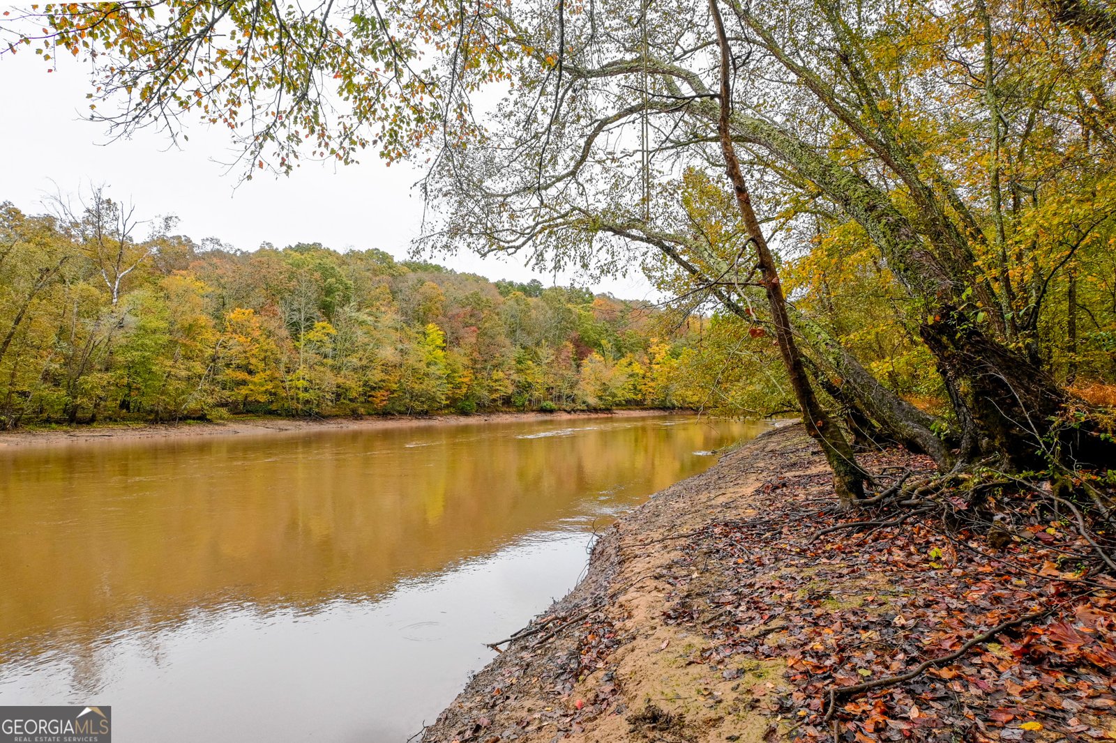 328 Jennifer Court Dahlonega - 17