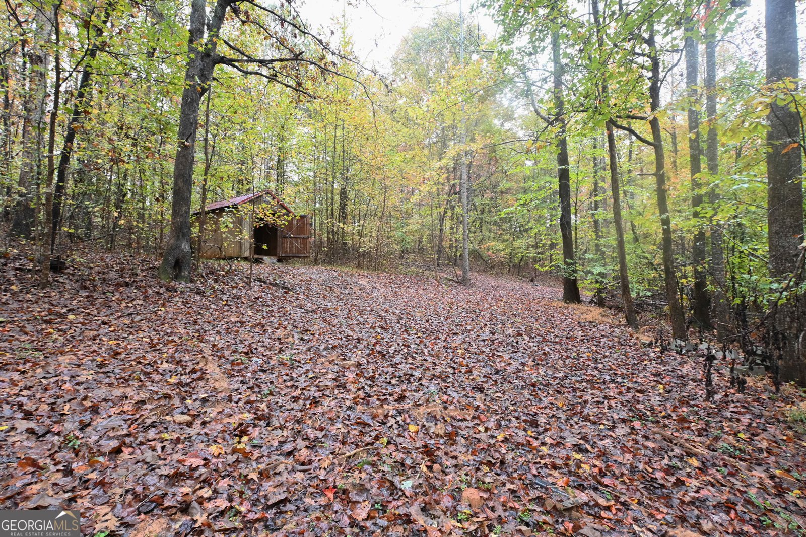 328 Jennifer Court Dahlonega - 18