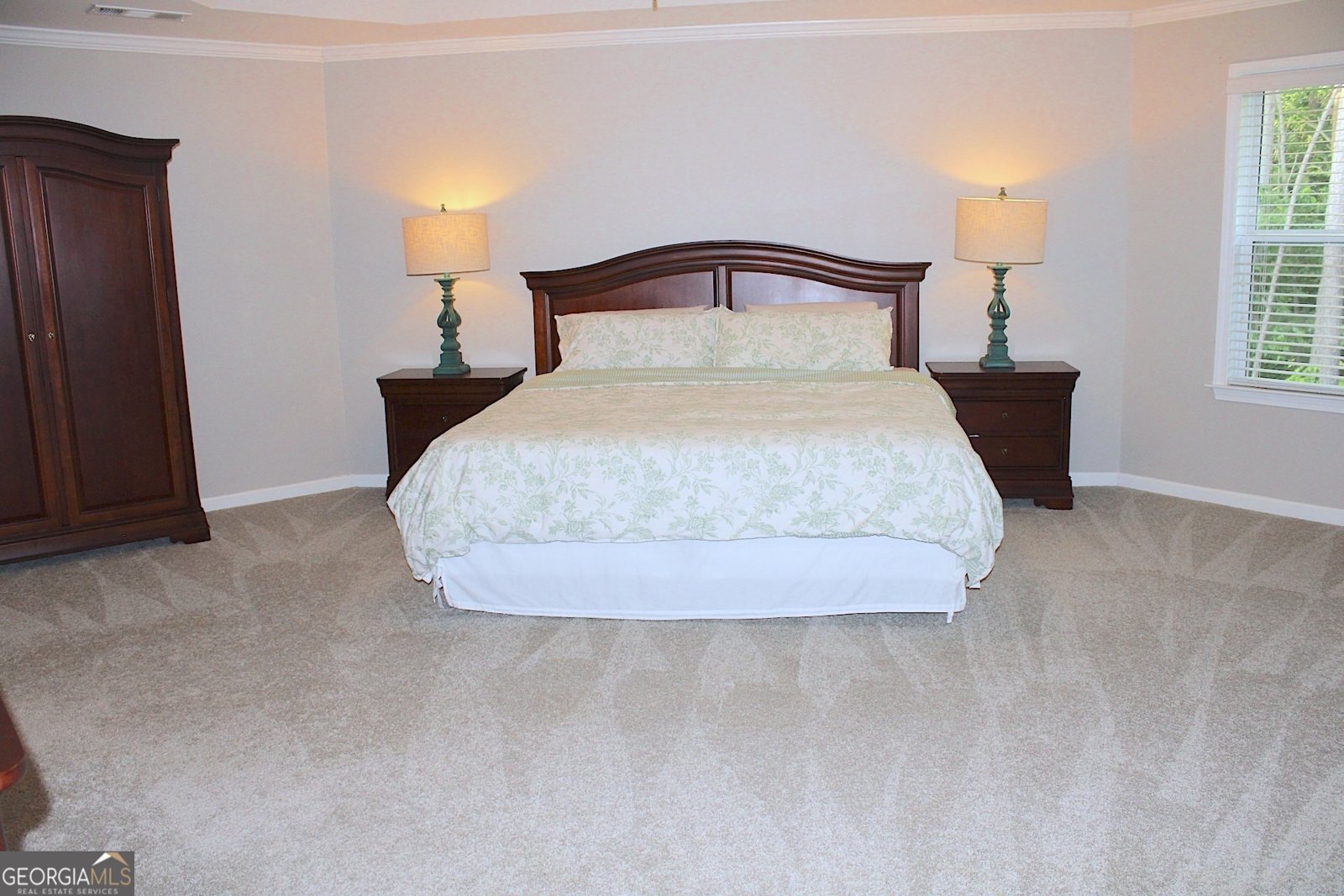 6570 CANYON Cove Cumming - 26