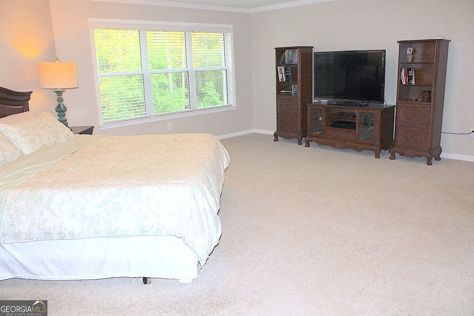 6570 CANYON Cove Cumming - 28