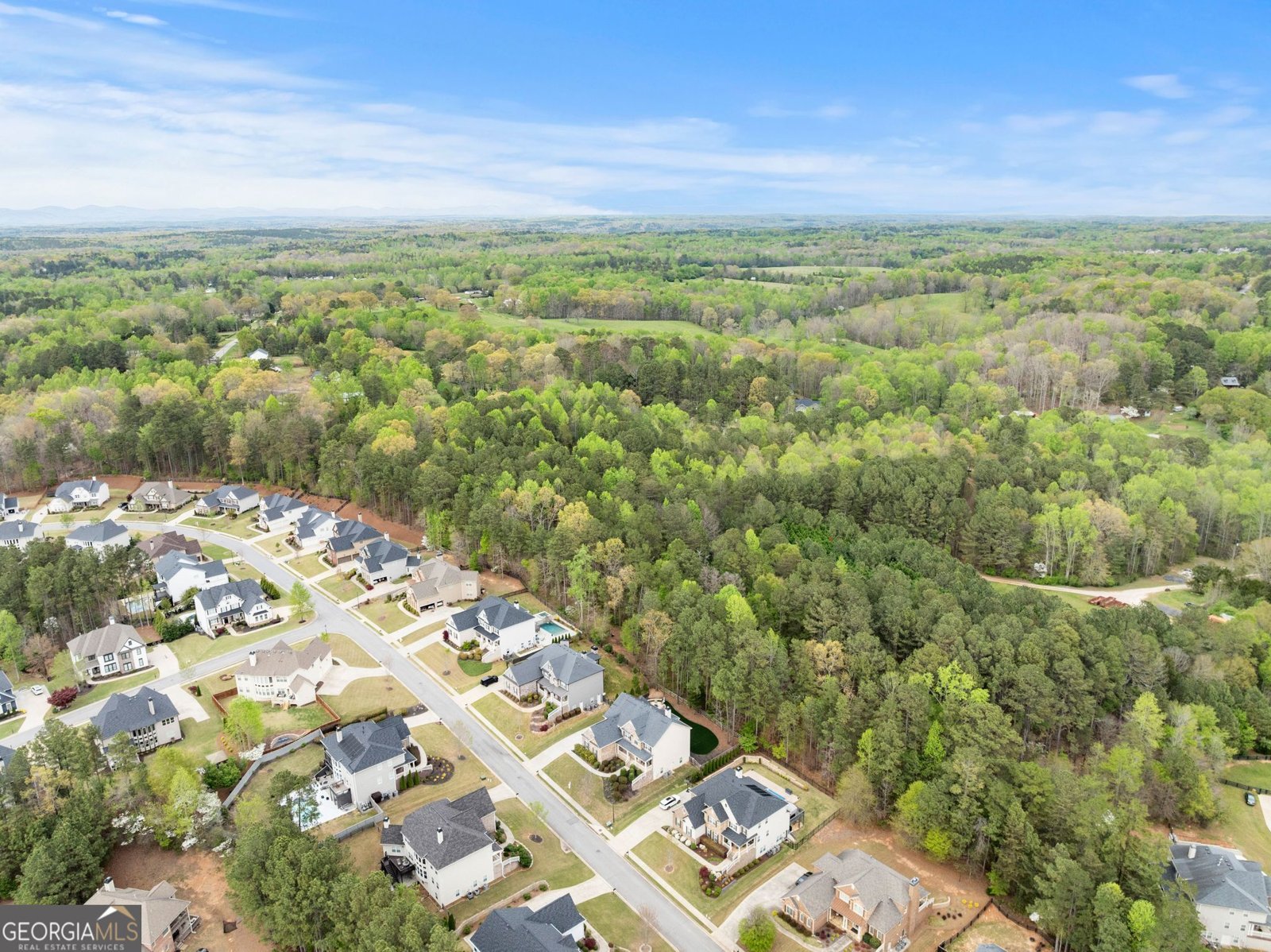 6570 CANYON Cove Cumming - Photo 61