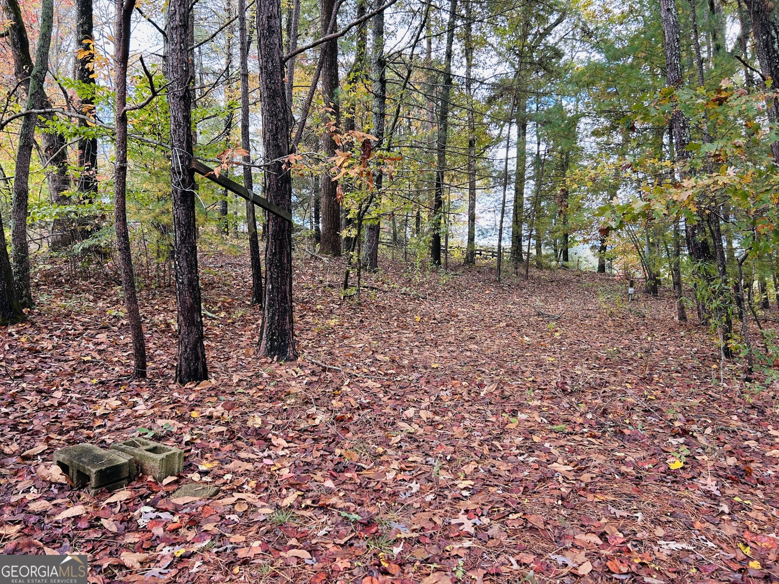 3077 Alec Mountain Road Clarkesville - 31