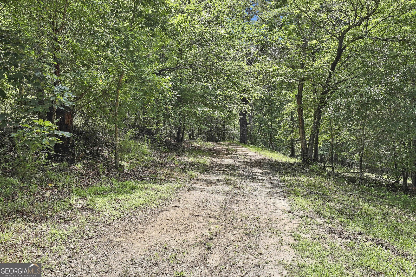 6220 Petersburg Road Fairburn - 29