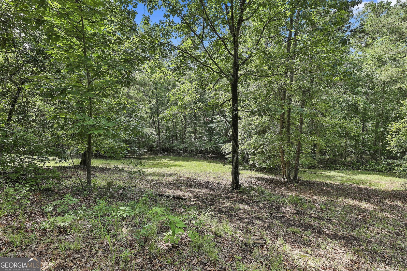 6220 Petersburg Road Fairburn - 31