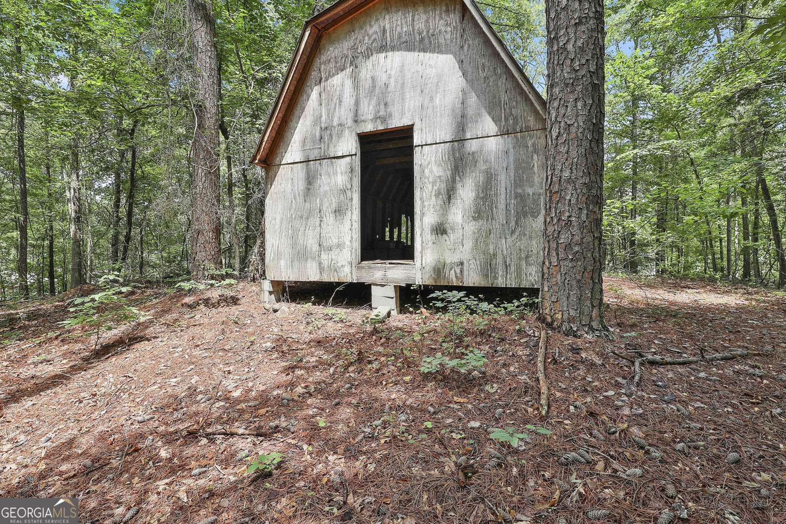 6220 Petersburg Road Fairburn - 38