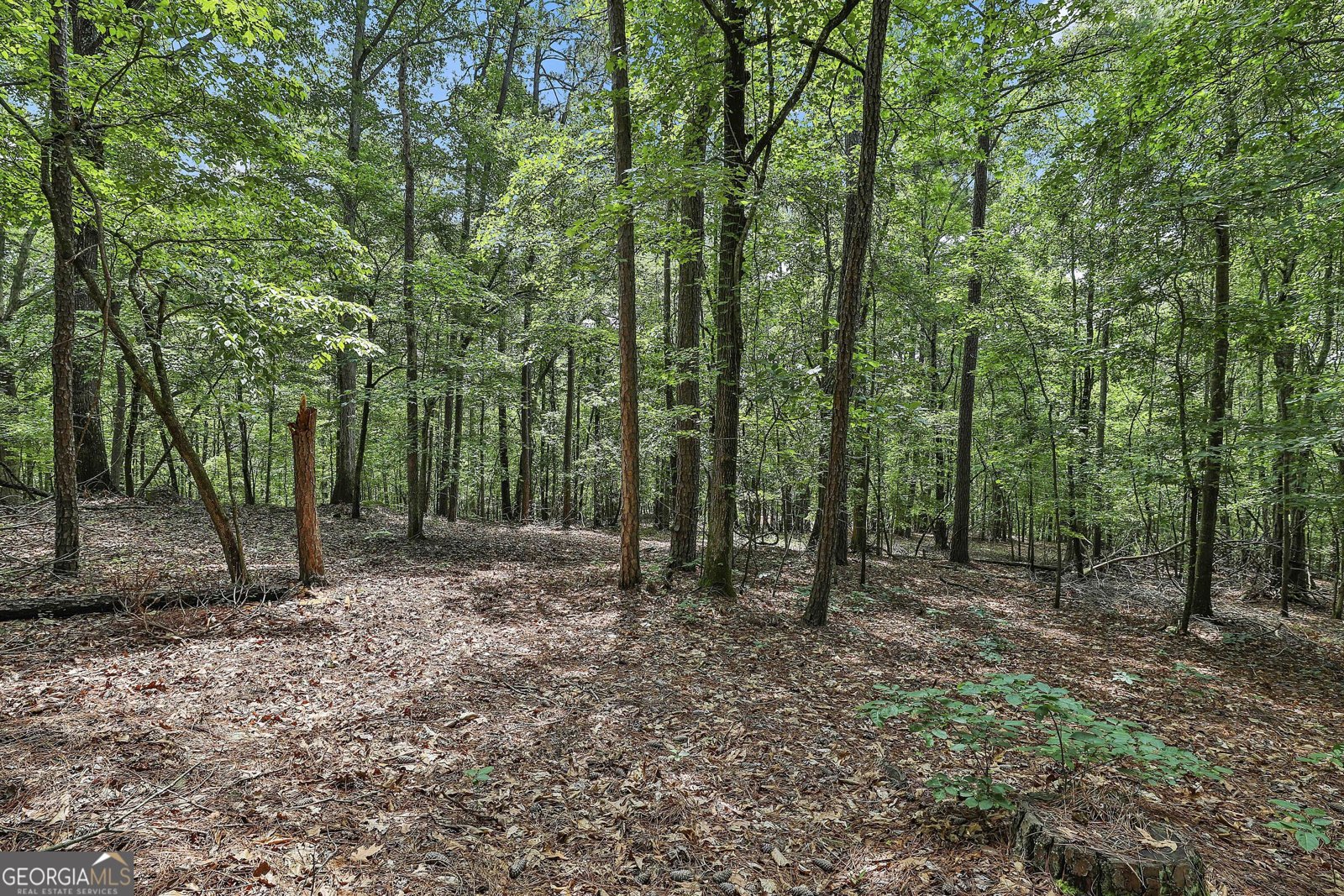 6220 Petersburg Road Fairburn - 39