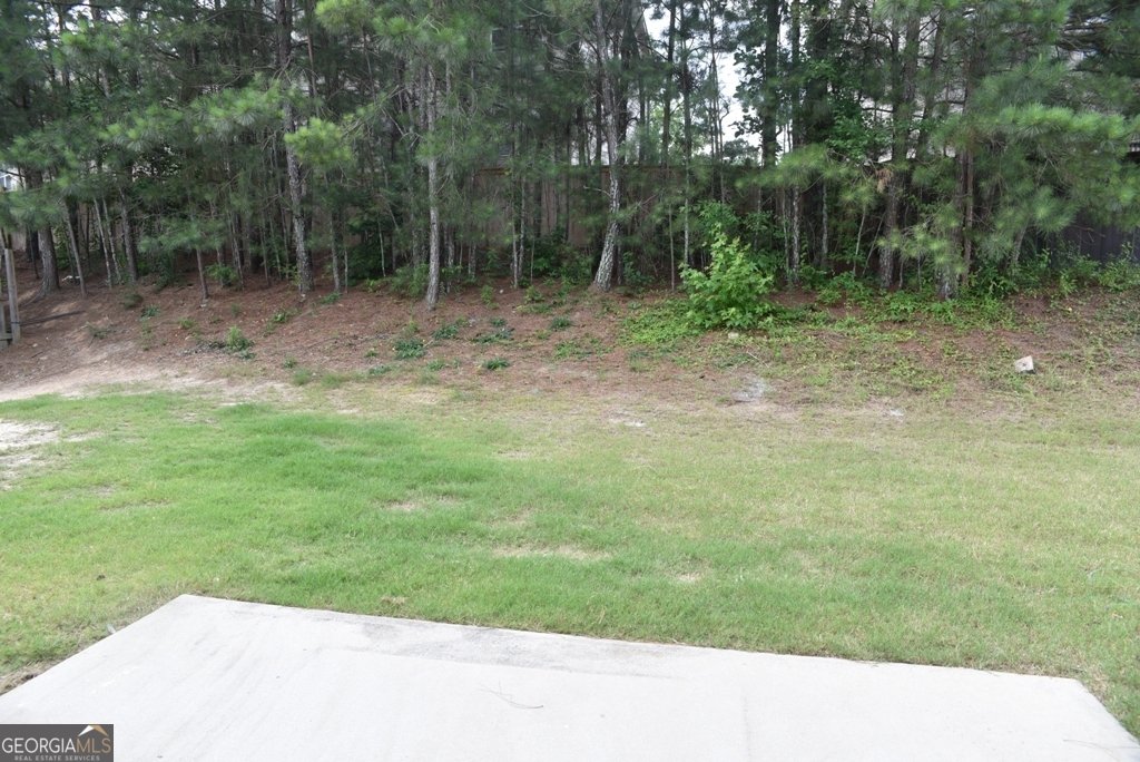 1365 Slate Bend Drive Dacula - 18