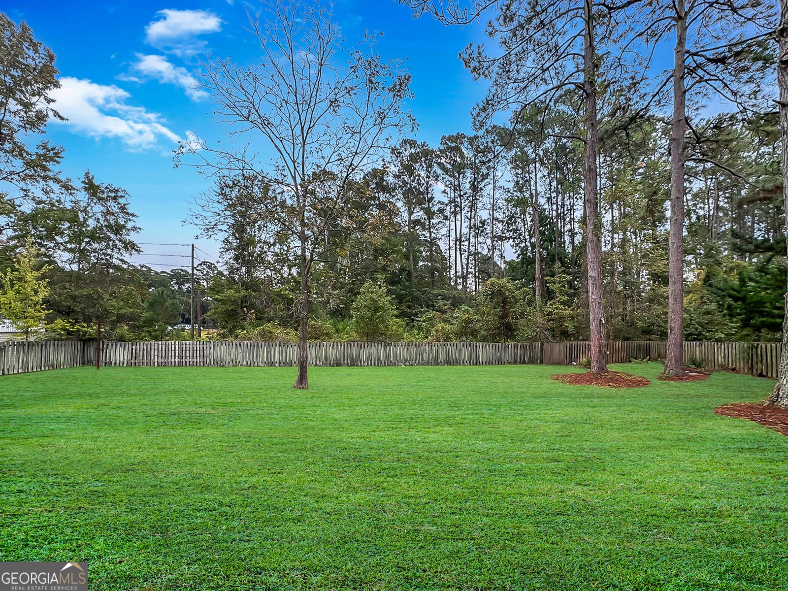 212 Springhouse Drive Savannah - 1