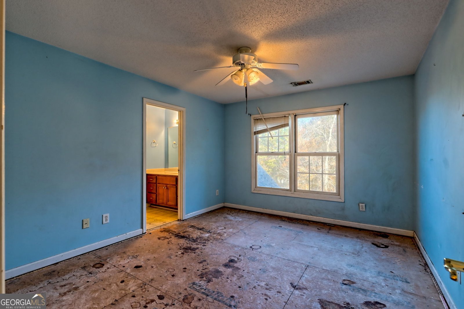 1070 Cannon Bridge Rd Demorest - 41