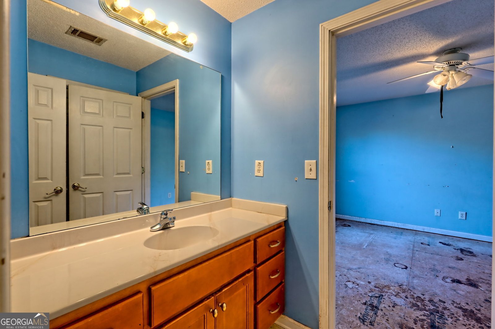 1070 Cannon Bridge Rd Demorest - 44