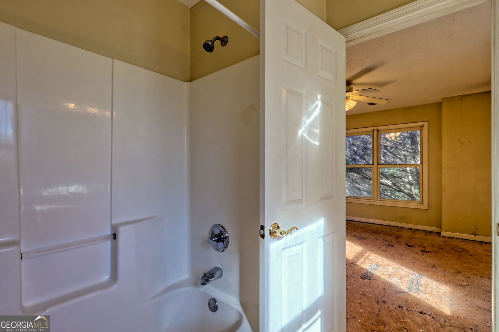 1070 Cannon Bridge Rd Demorest - 49