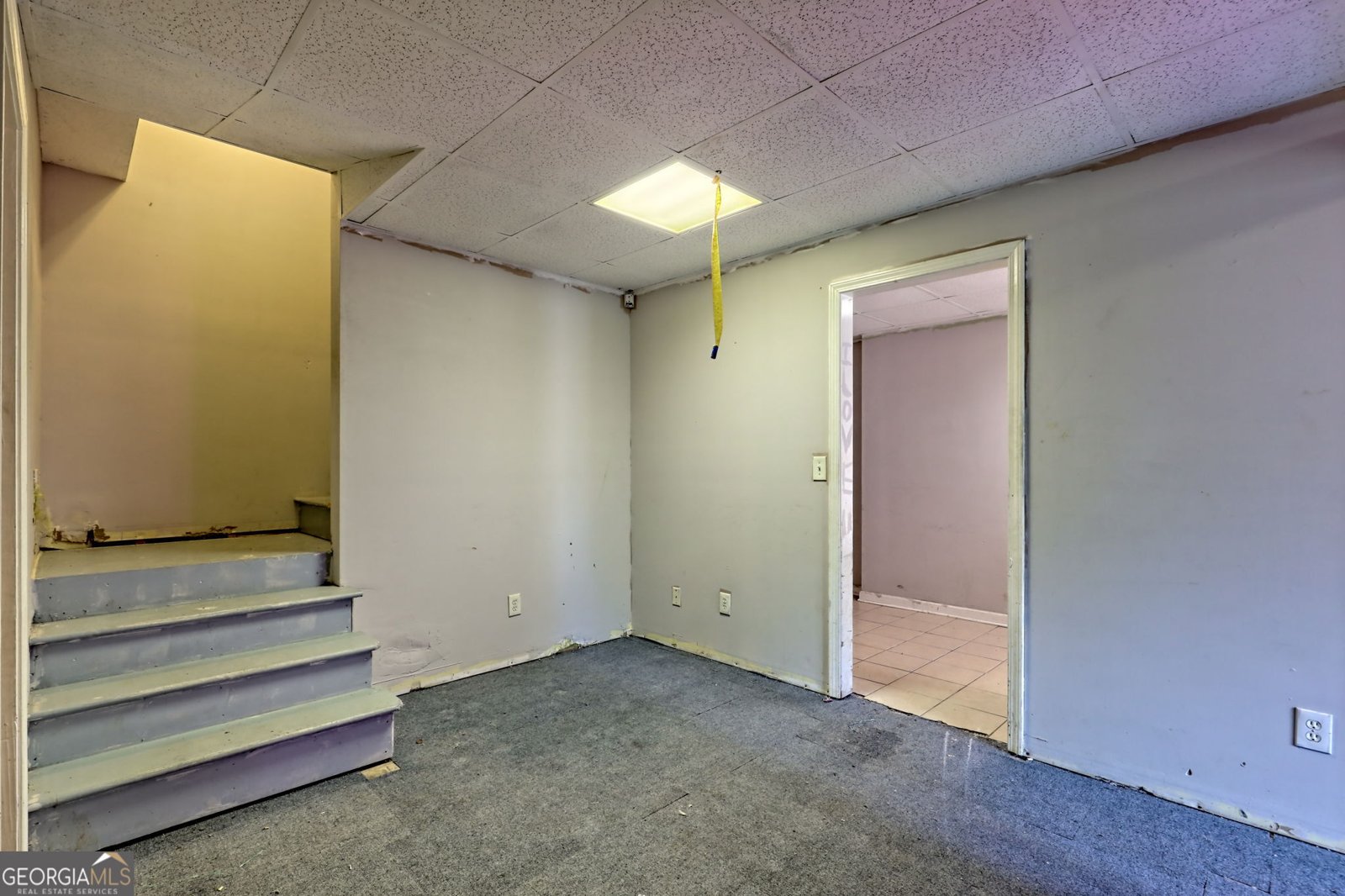 1070 Cannon Bridge Rd Demorest - 59