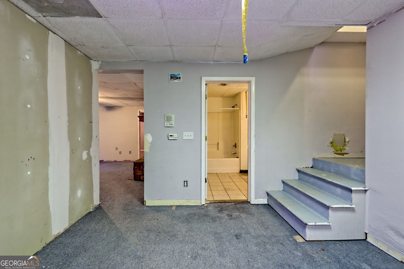 1070 Cannon Bridge Rd Demorest - 60