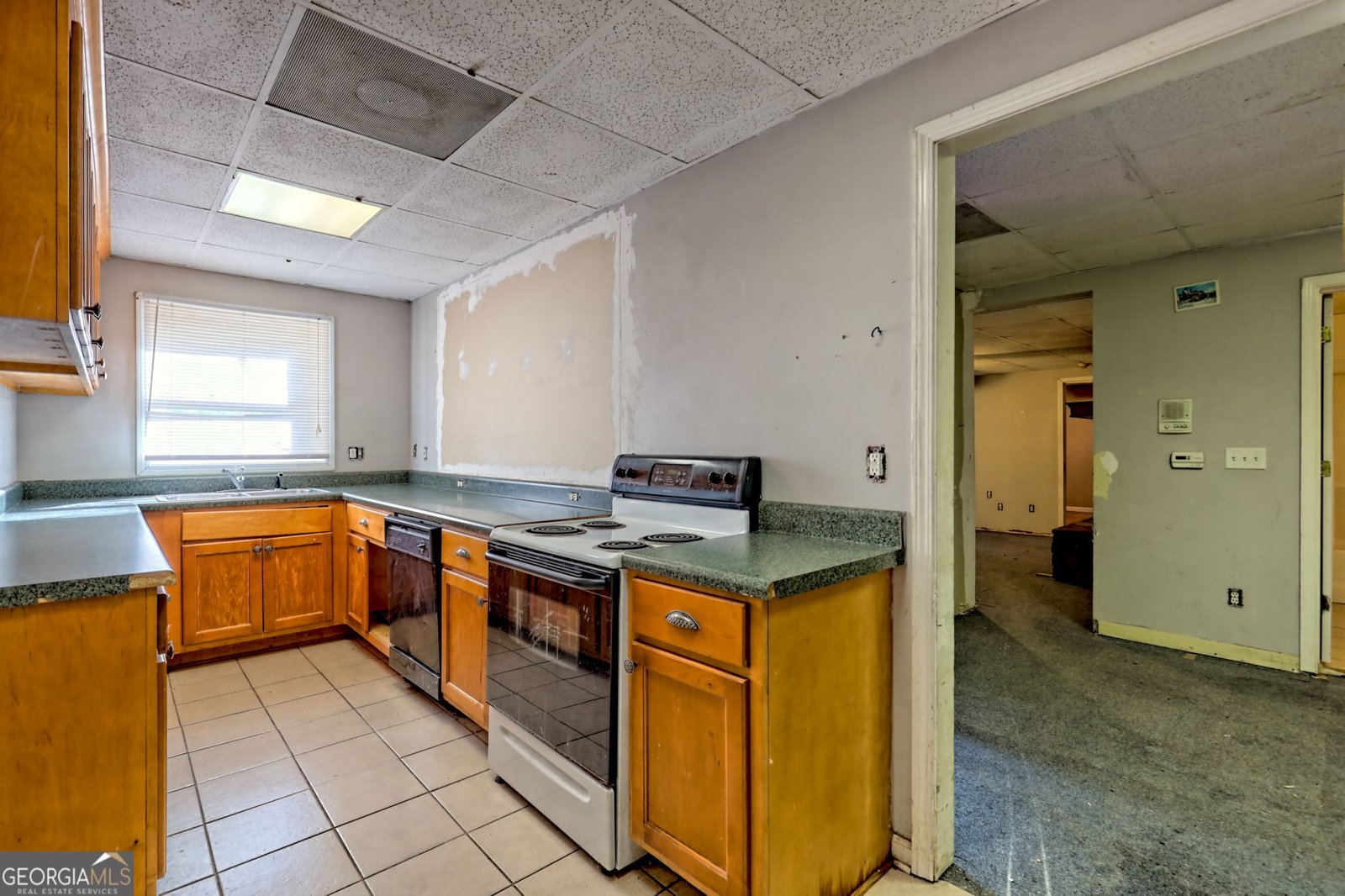 1070 Cannon Bridge Rd Demorest - 62