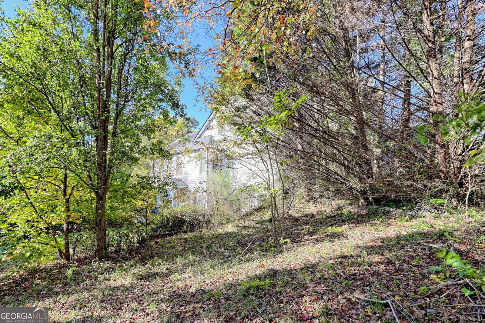 1070 Cannon Bridge Rd Demorest - 81