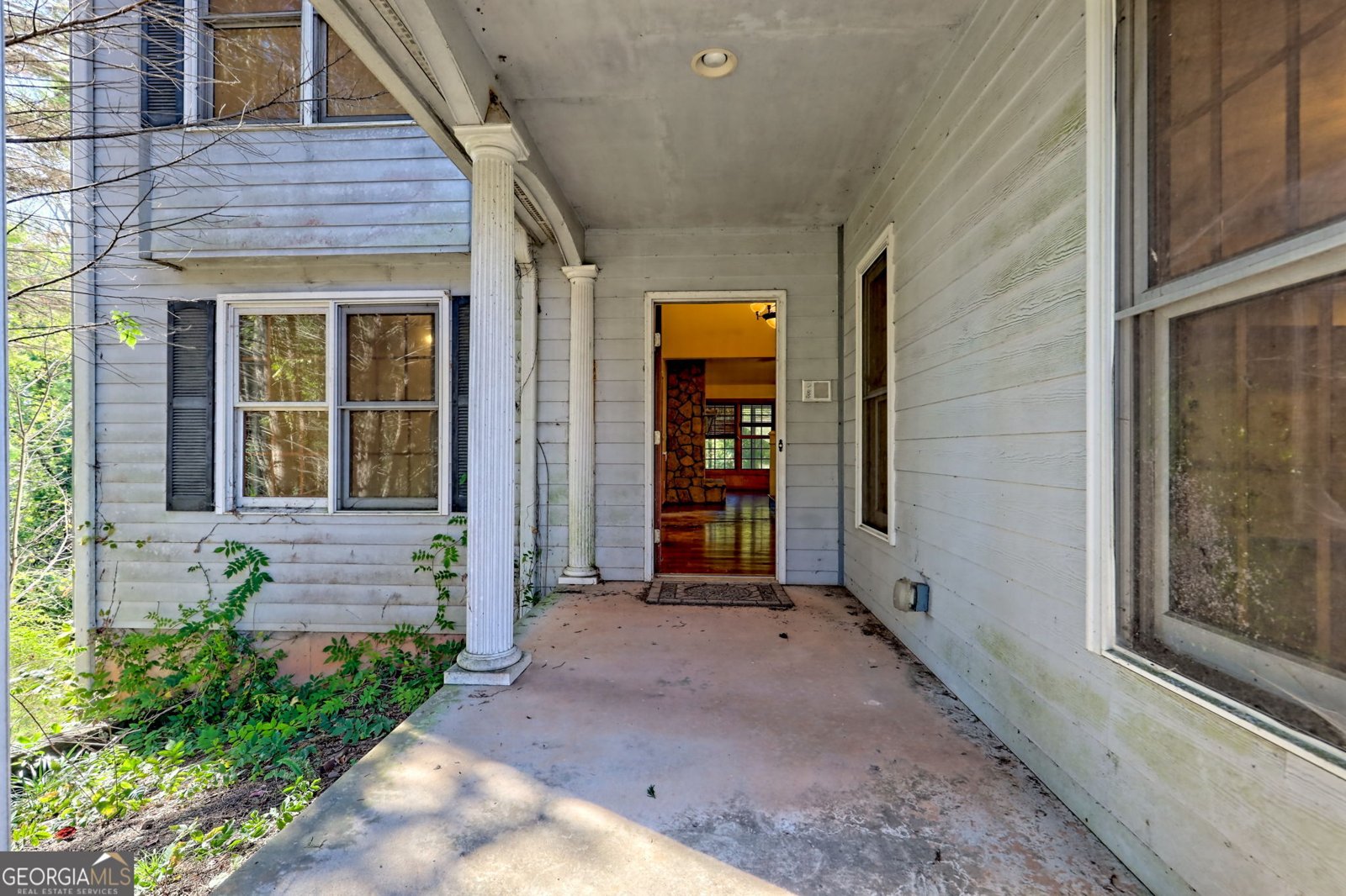 1070 Cannon Bridge Rd Demorest - 89