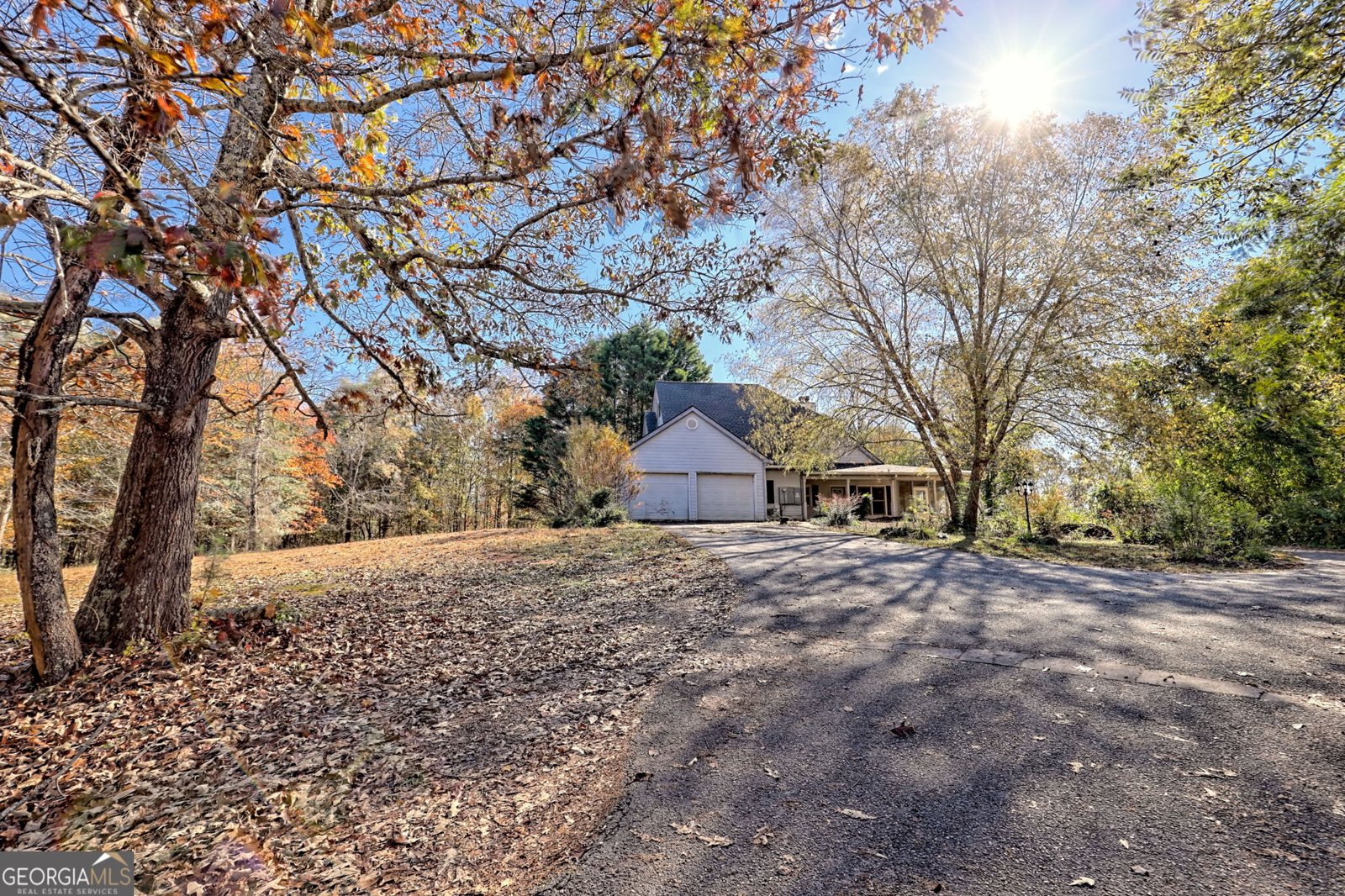 1070 Cannon Bridge Rd Demorest - 95