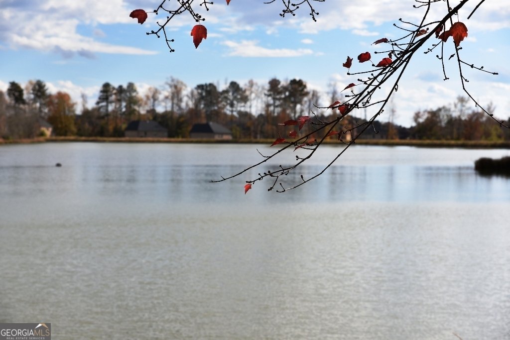 480 Brown Dove Lane Grayson - 17