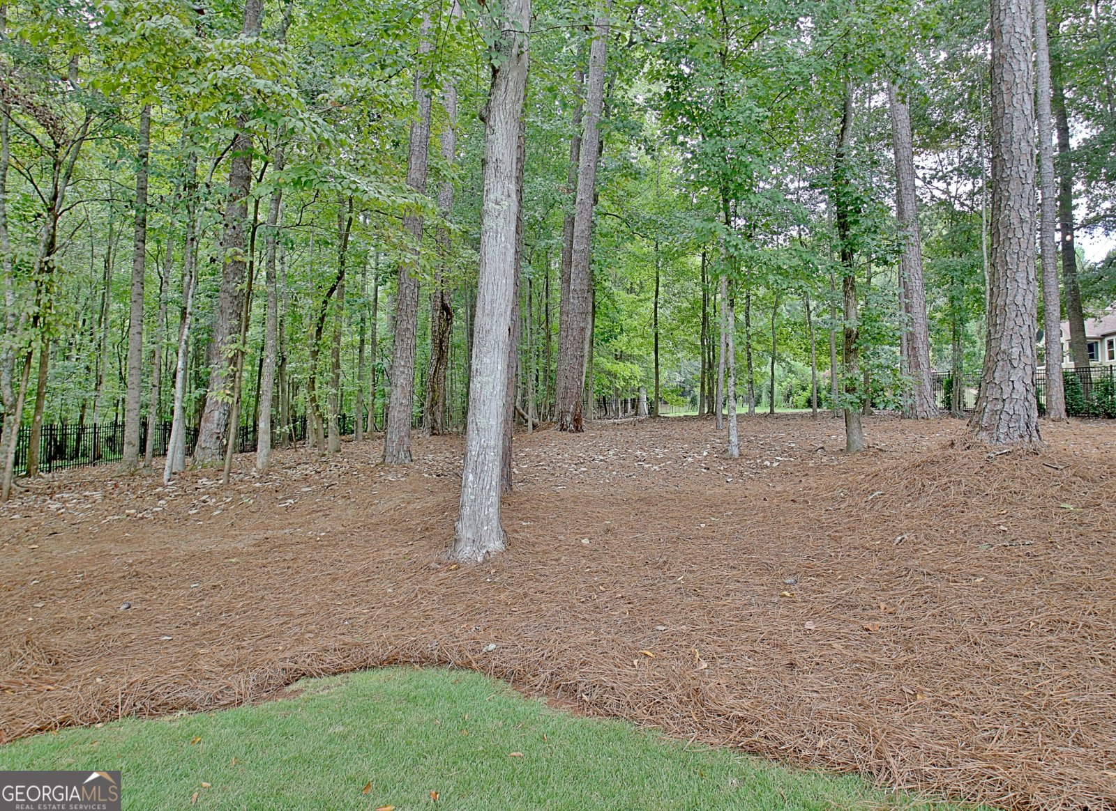 804 Ridgestone Court Peachtree City - 83