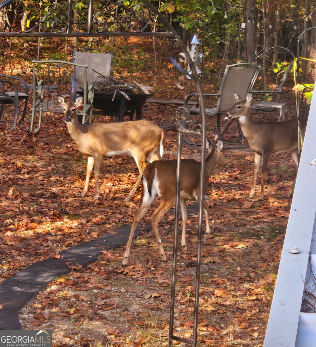 476 Wind Drive Villa Rica - 34