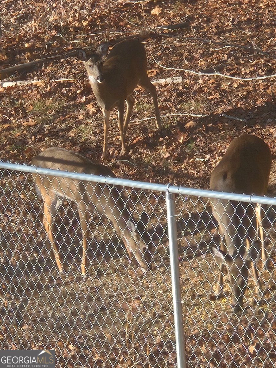 476 Wind Drive Villa Rica - 35