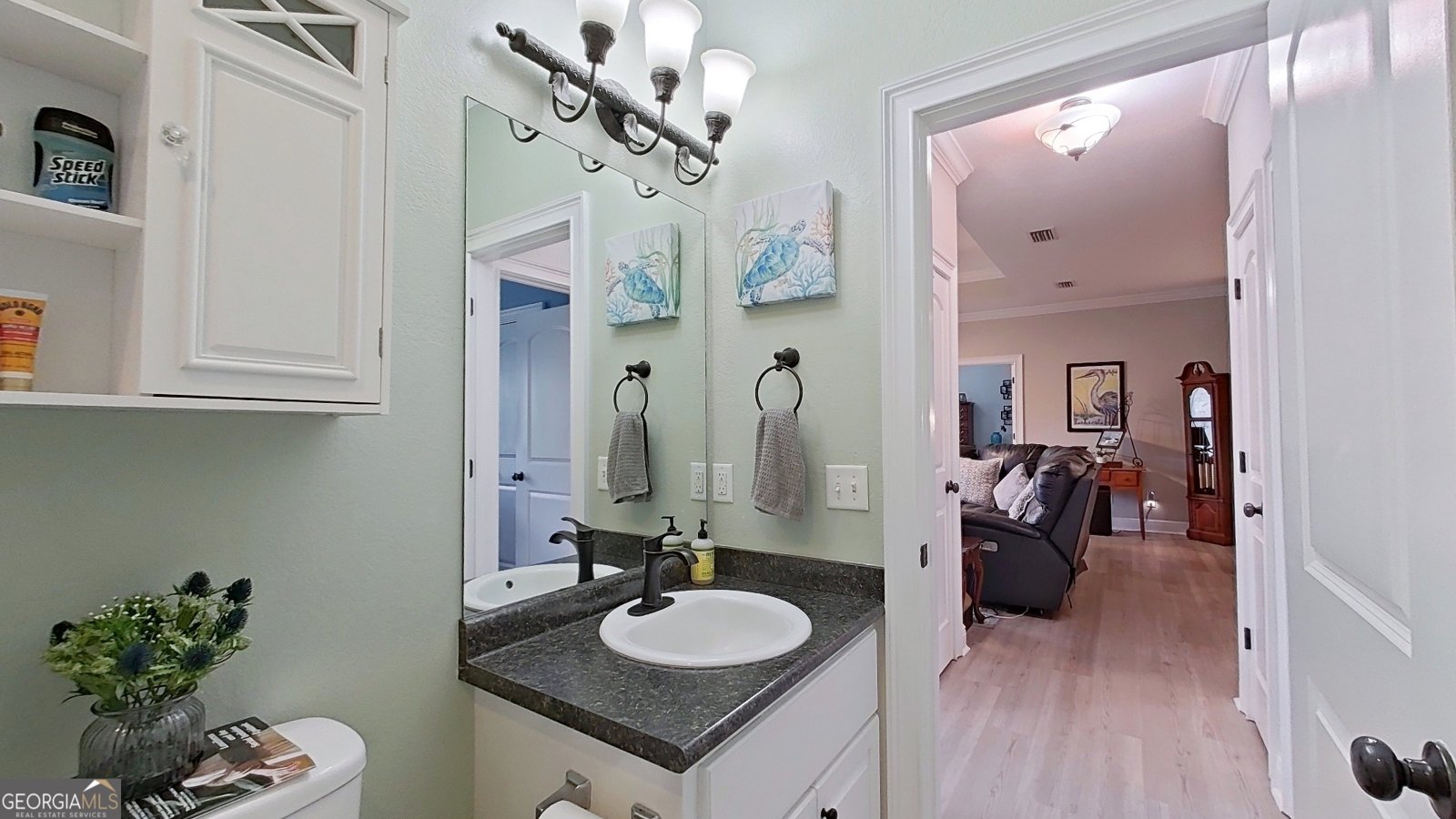 105 Mossy Creek Way Ochlocknee - 32