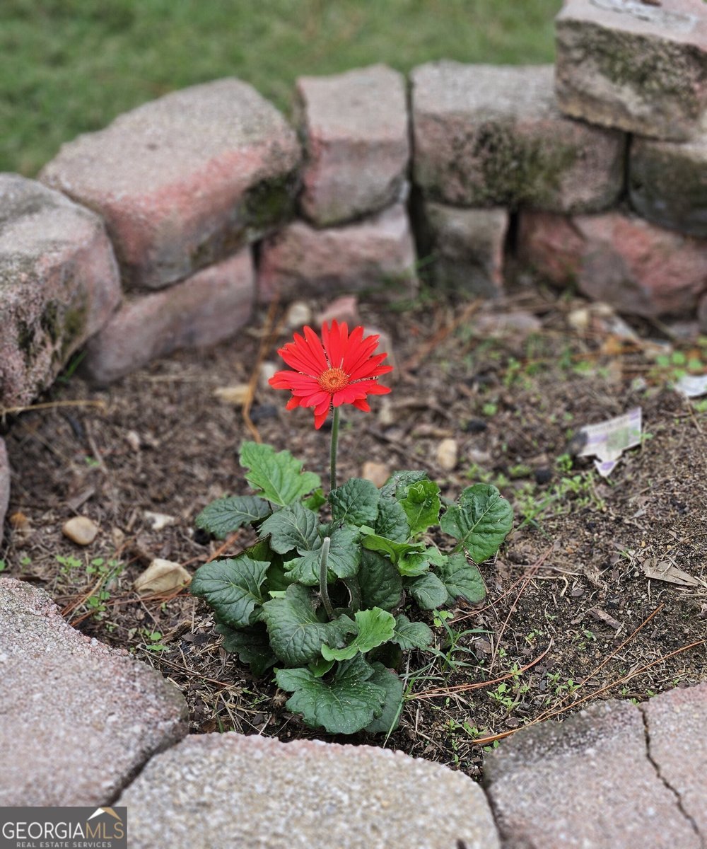 105 Mossy Creek Way Ochlocknee - 40