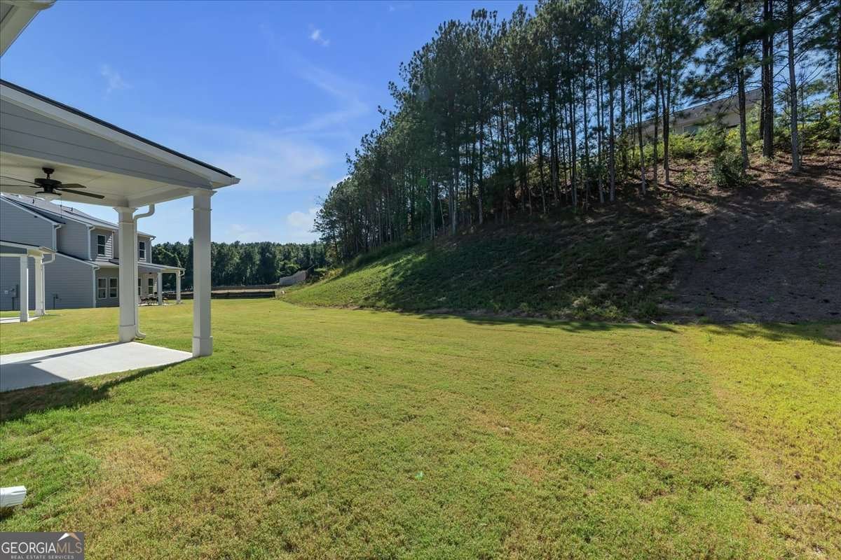 2693 Jordan Lane Lithia Springs - 39