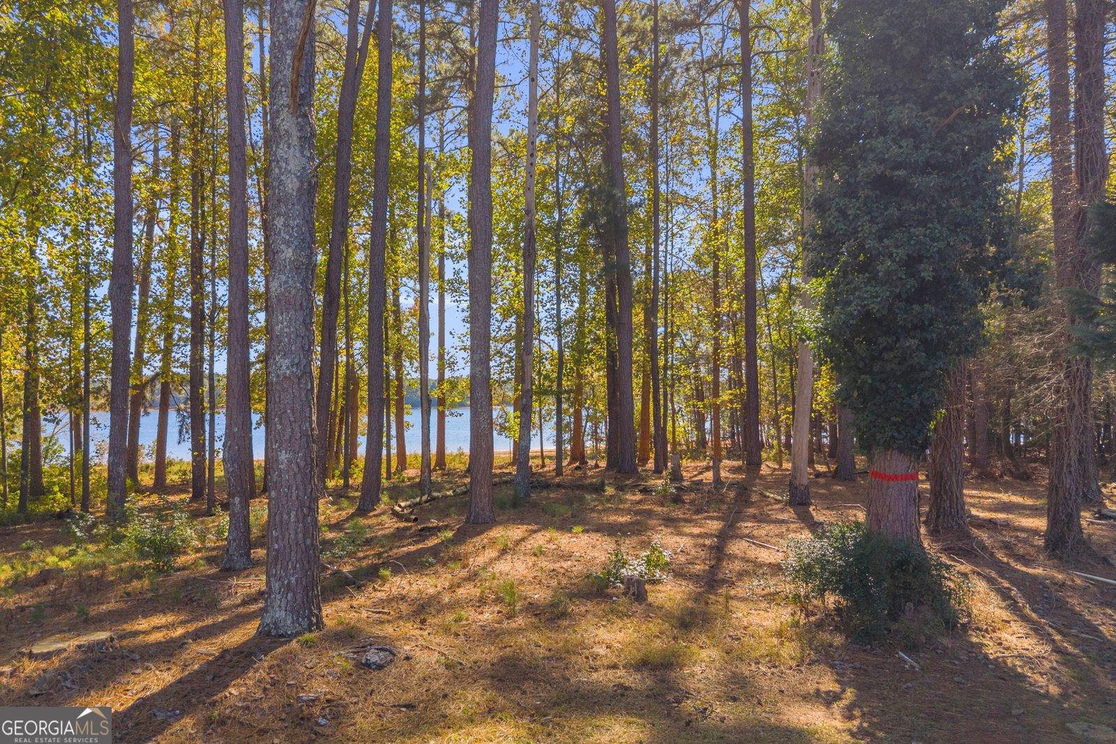 1244 Elrod Ferry Road Hartwell - 9