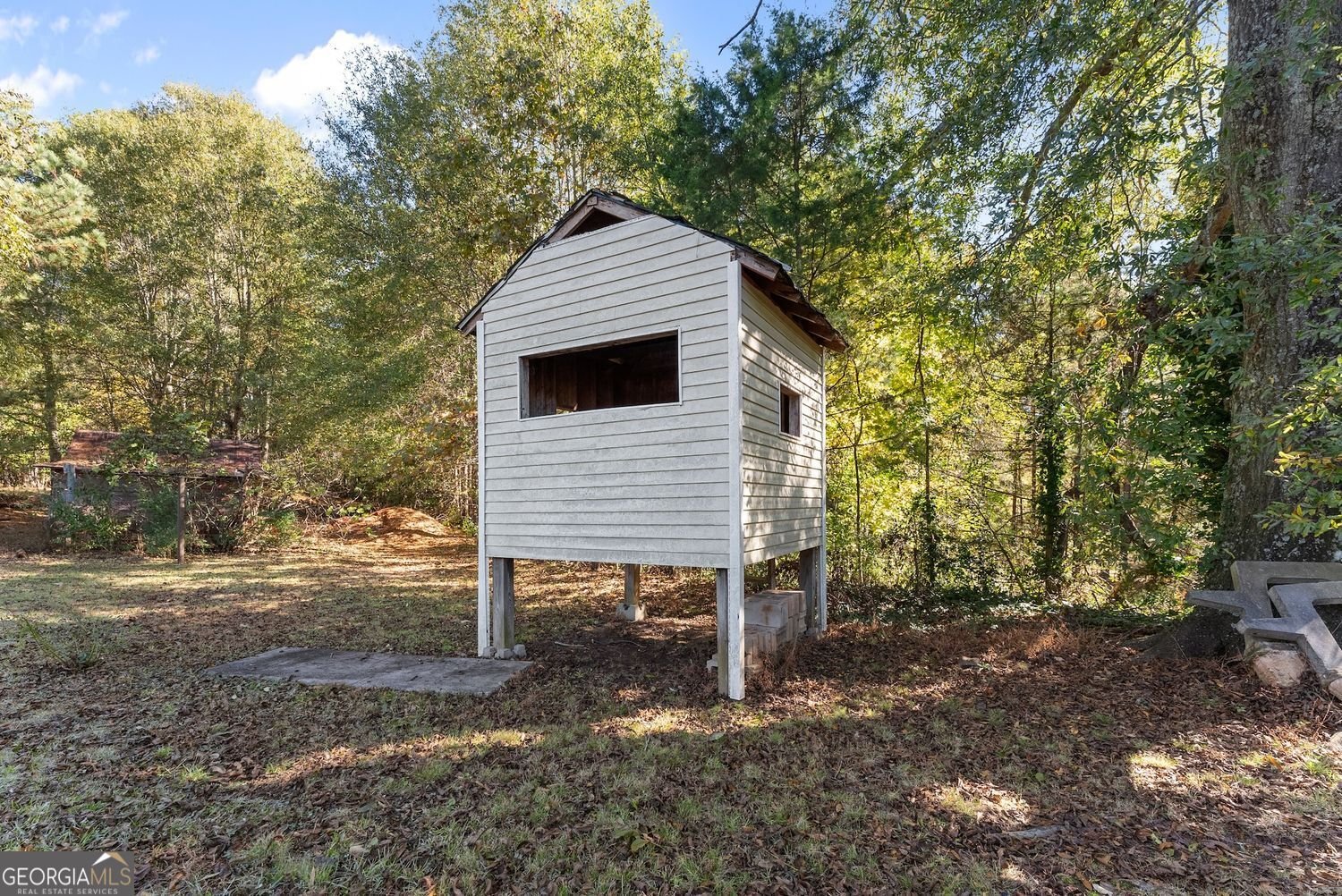 3089 HWY 17 ALT Toccoa - 43