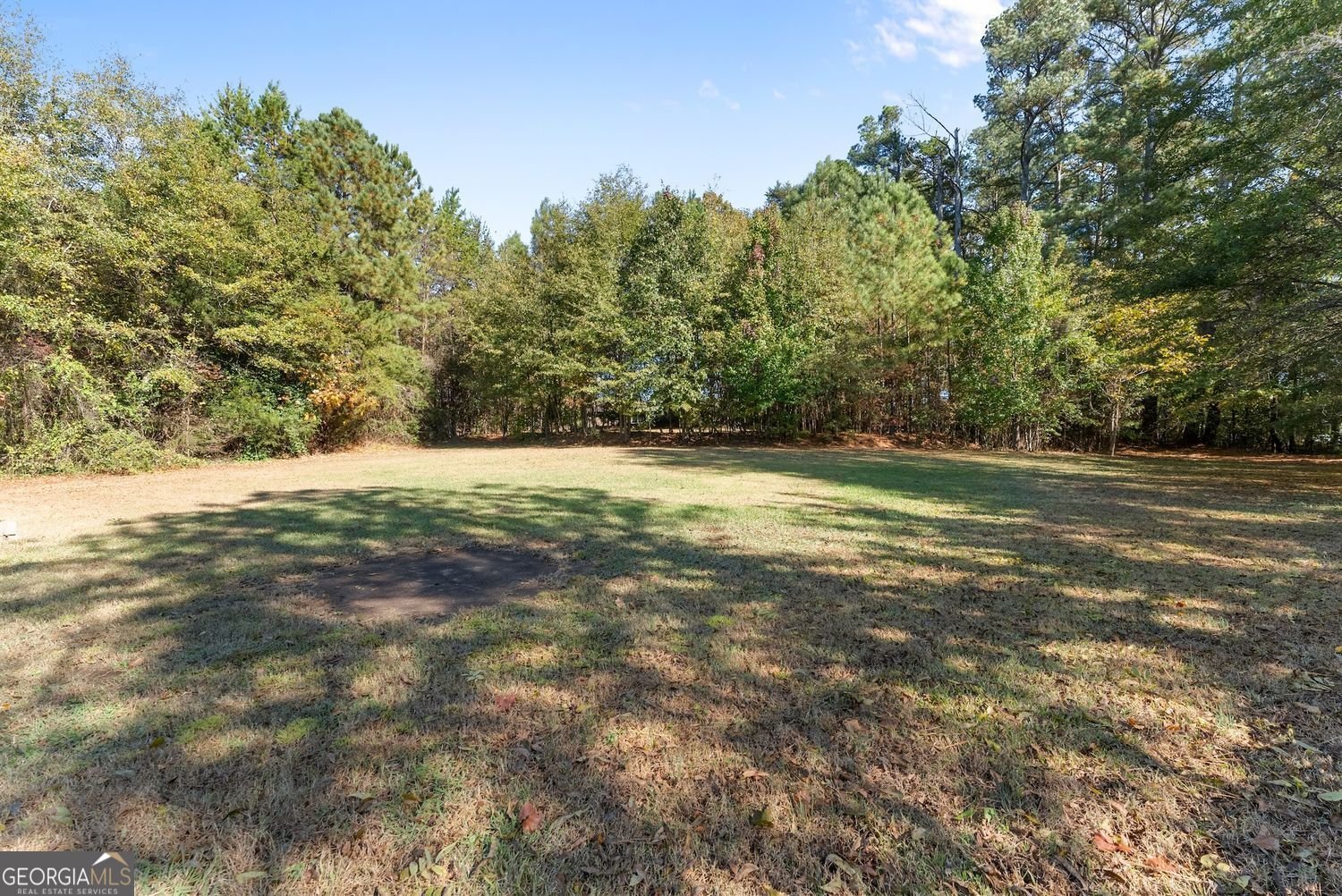 3089 HWY 17 ALT Toccoa - 48