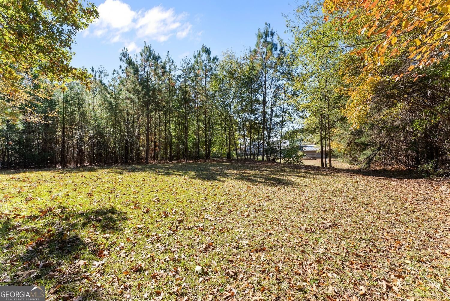 3089 HWY 17 ALT Toccoa - 6