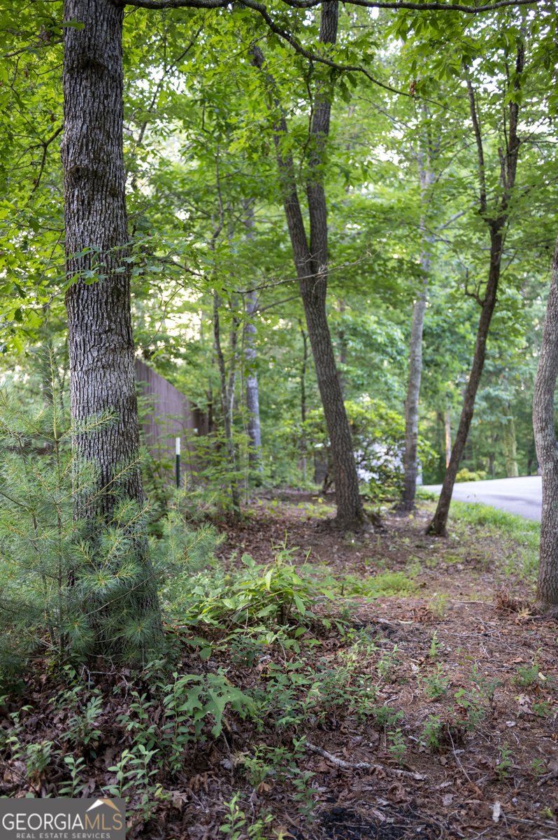 323 McCartan Trail Clarkesville - 10