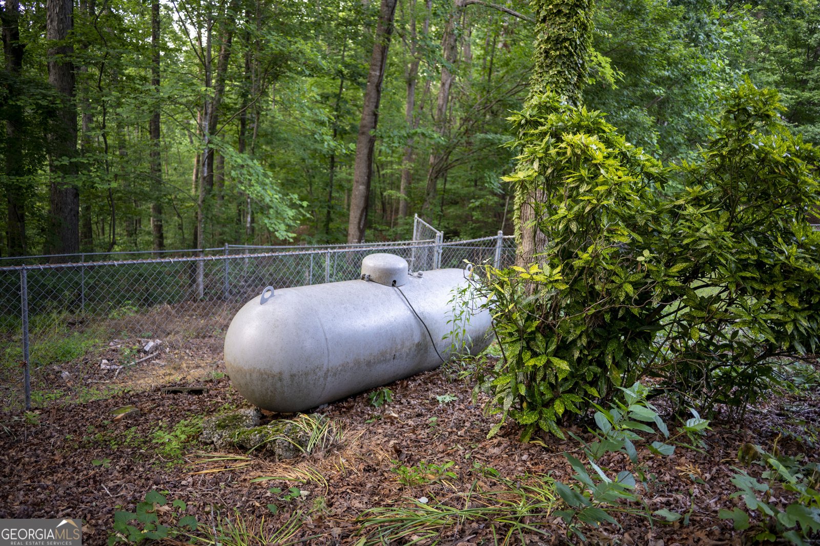 323 McCartan Trail Clarkesville - 25