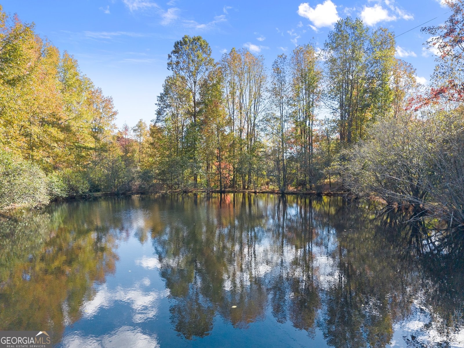 449 Chestatee Drive Cleveland - 40