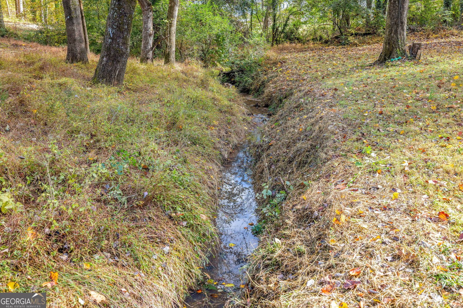 6108 Carter Street Lula - 35