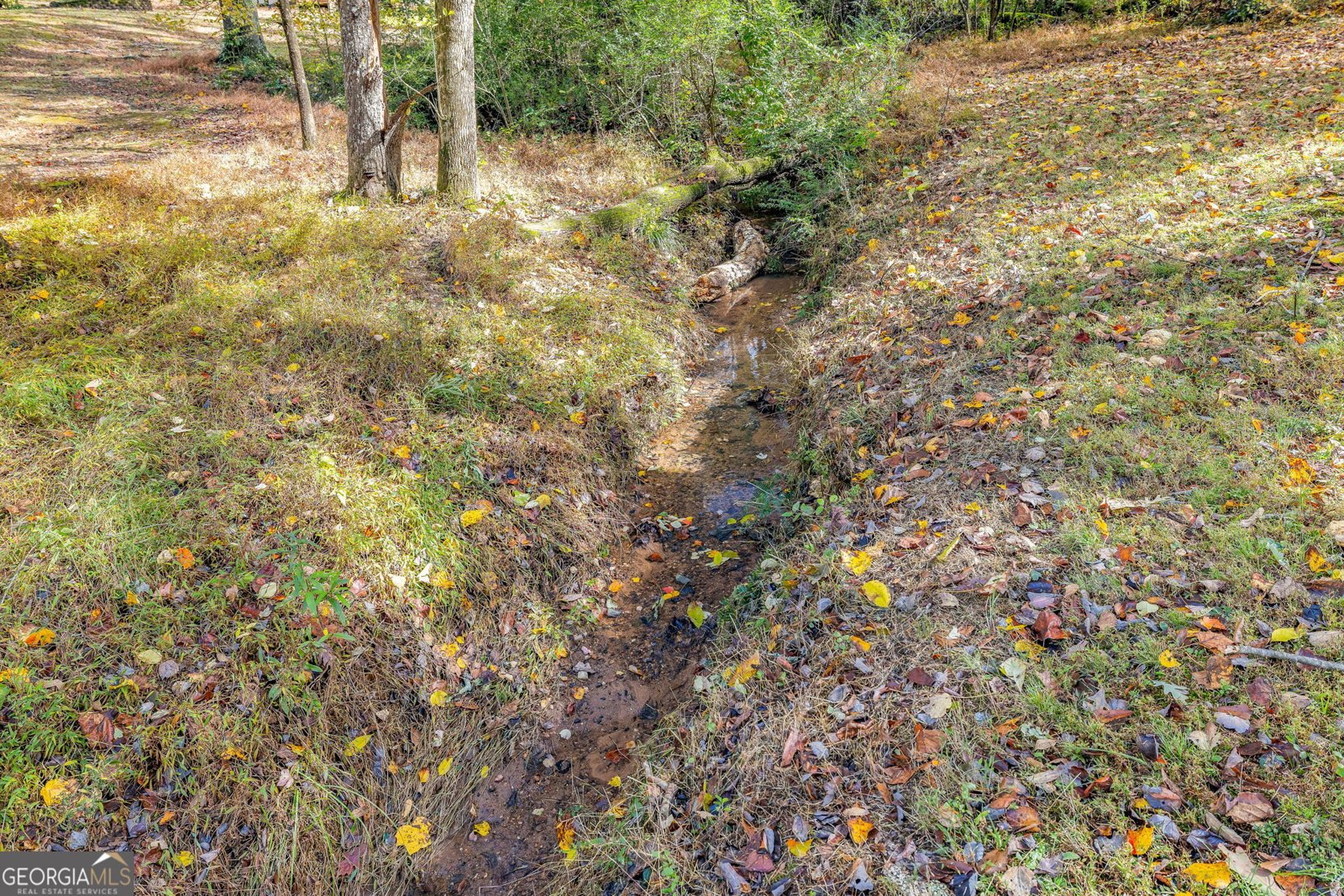 6108 Carter Street Lula - 36